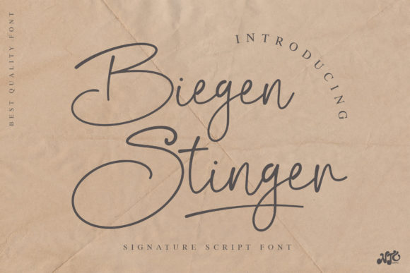 Biegen Stinger Script: A Vintage Handwritten Font for Classy Branding