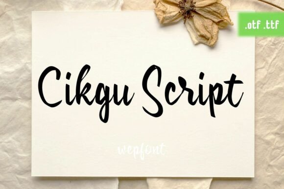 Cikgu Script: The Handcrafted Font for Authentic Brands