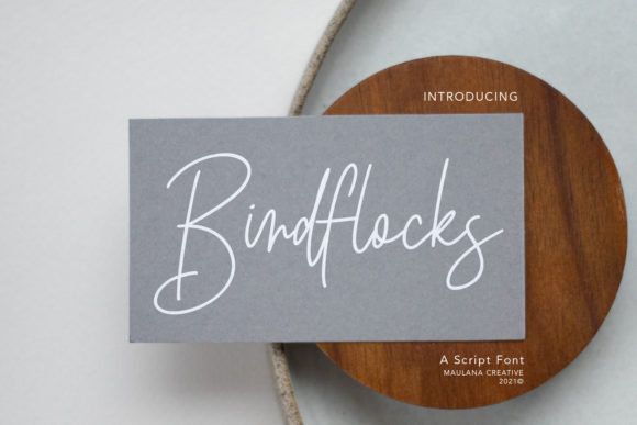 Elevate Your Designs with Birdflocks Script