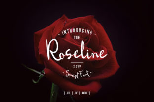 Roseline Script: The Authentic Handwritten Typeface